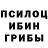Галлюциногенные грибы Psilocybe Faiz Tab