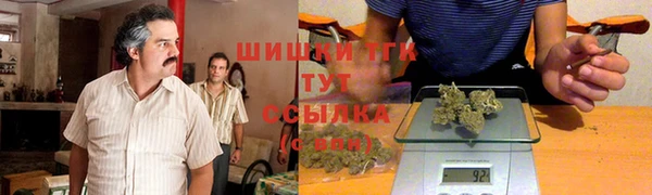 крисы Киренск