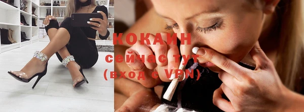индика Карпинск