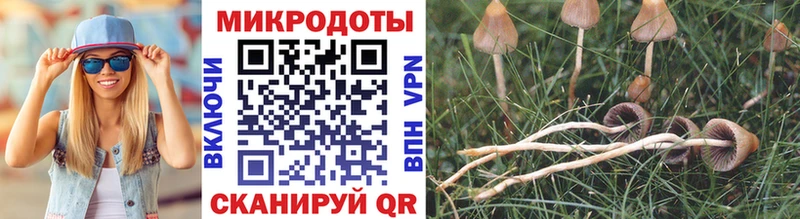 Галлюциногенные грибы MAGIC MUSHROOMS  Камызяк 