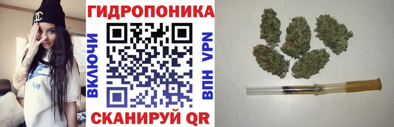 ОМГ ОМГ рабочий сайт  Камызяк  Марихуана гибрид  сколько стоит 